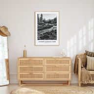 Olympic National Park Portrait B&W Poster