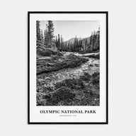 Olympic National Park Portrait B&W Poster