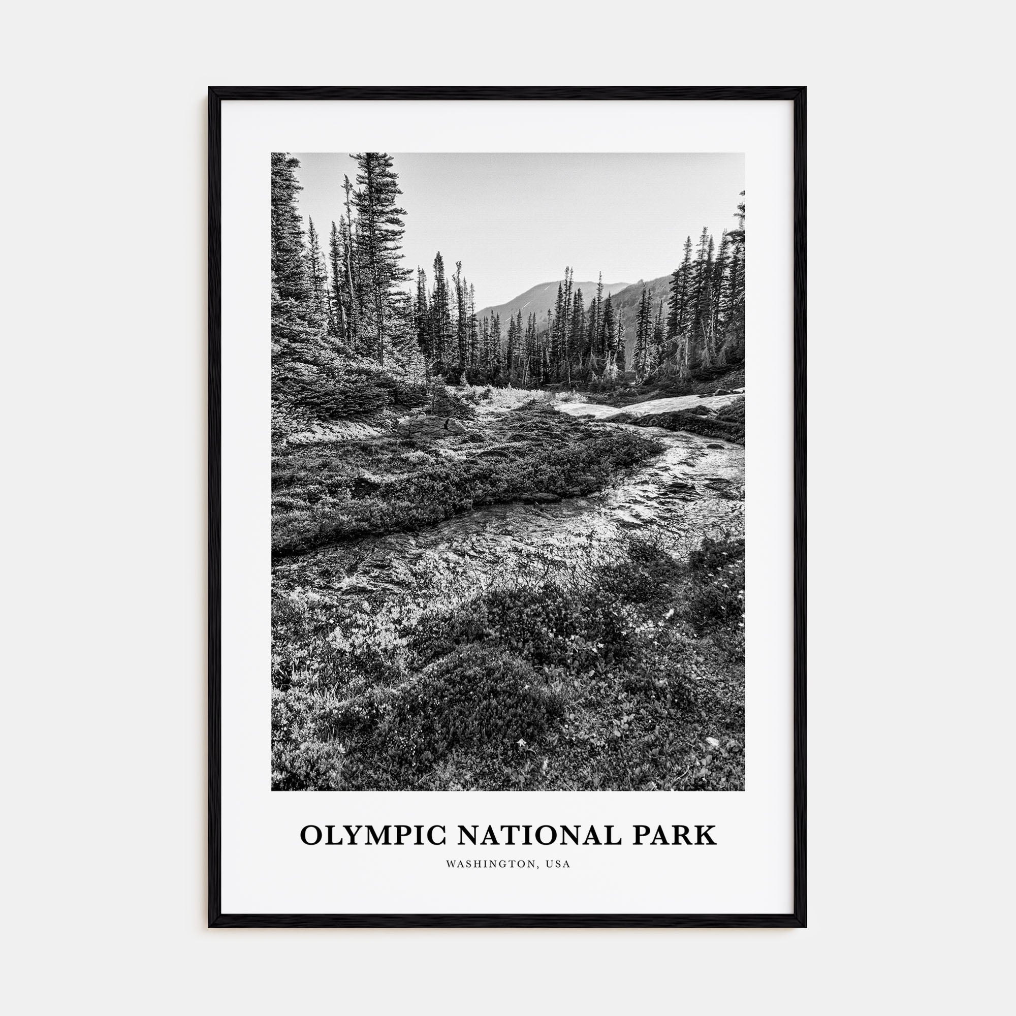 Olympic National Park Portrait B&W Poster
