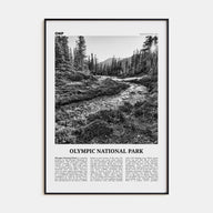 Olympic National Park Travel B&W Poster