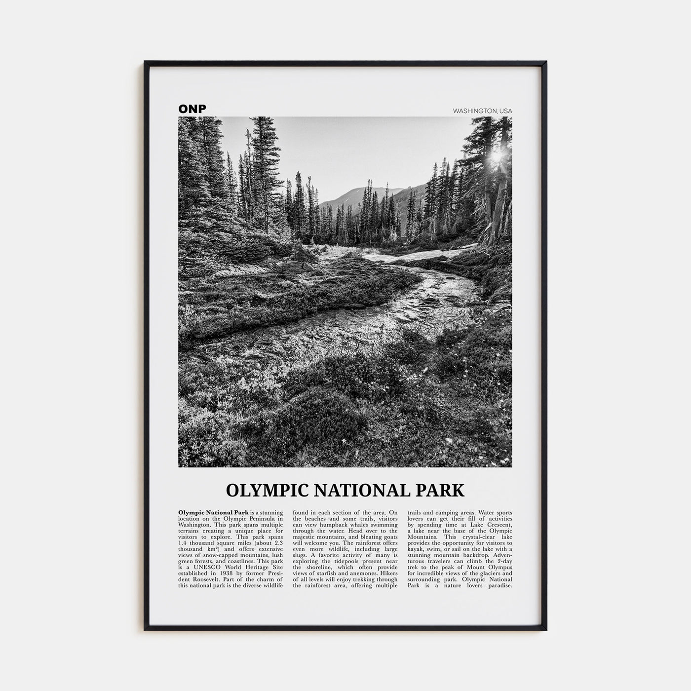 Olympic National Park Travel B&W Poster