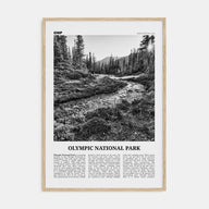 Olympic National Park Travel B&W Poster