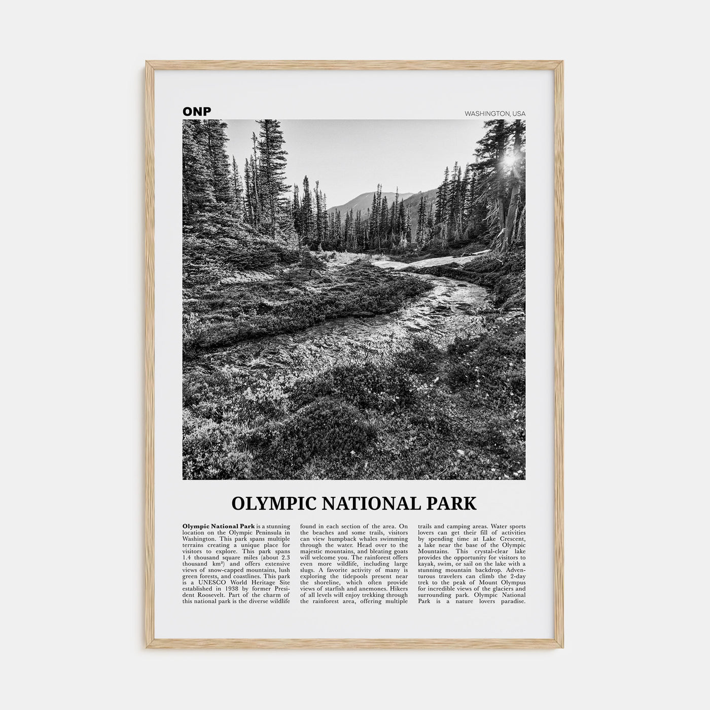 Olympic National Park Travel B&W Poster