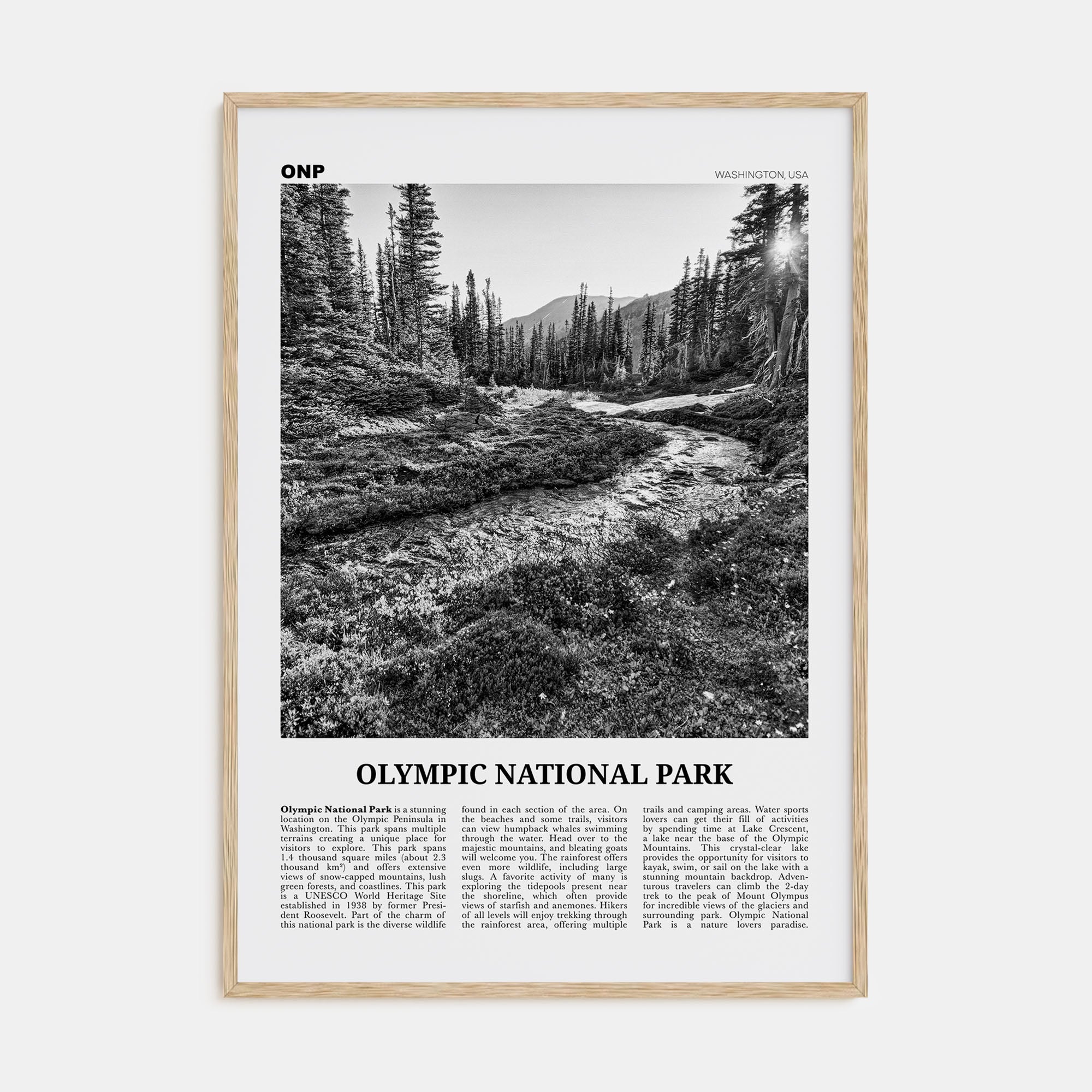 Olympic National Park Travel B&W Poster