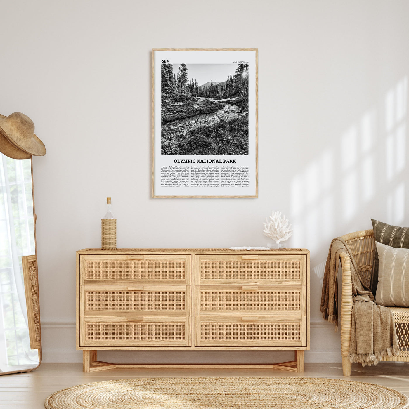 Olympic National Park Travel B&W Poster