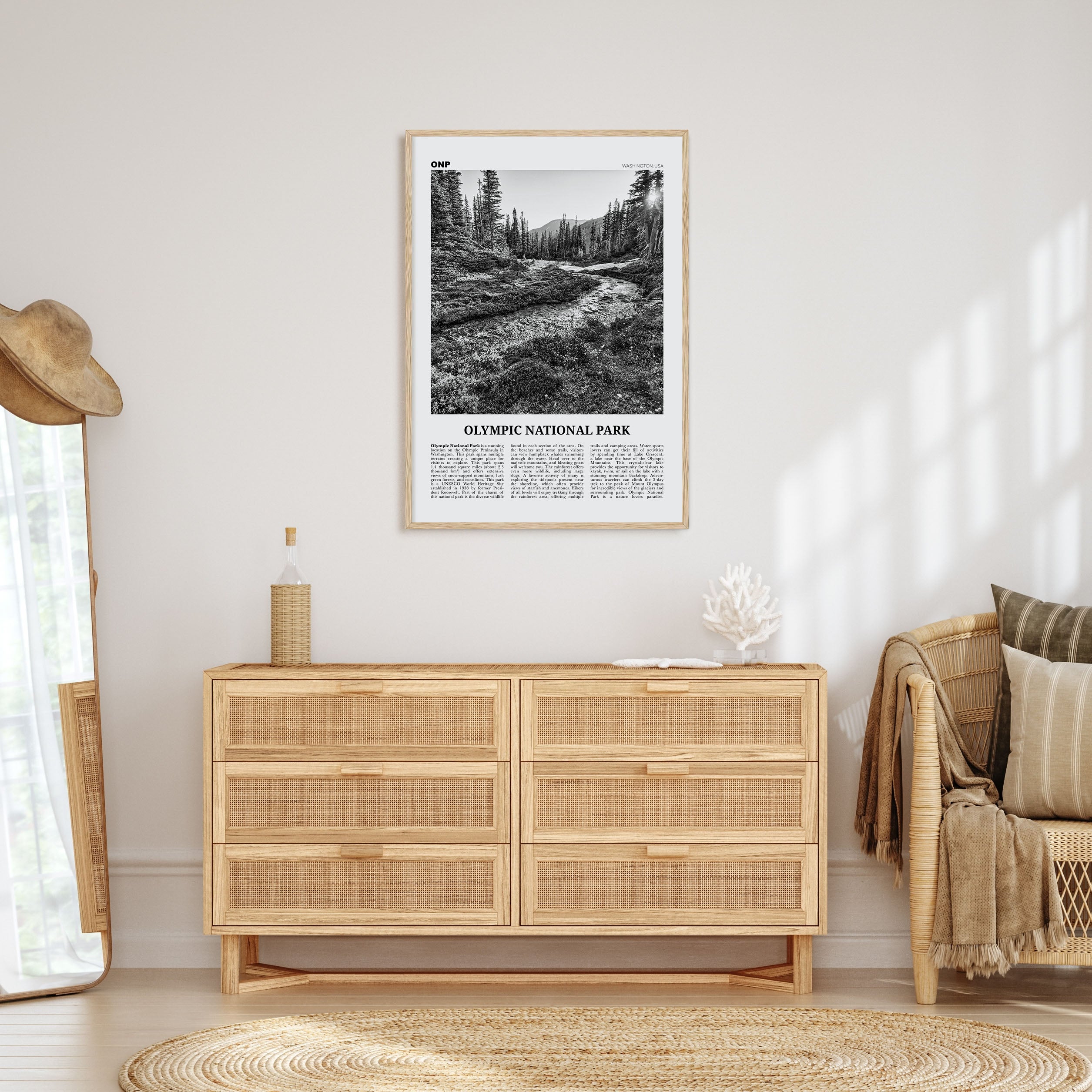 Olympic National Park Travel B&W Poster