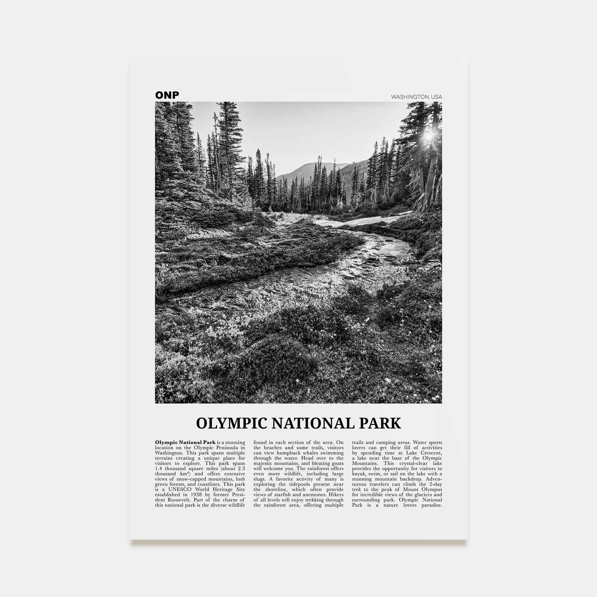 Olympic National Park Travel B&W Poster