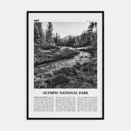 Olympic National Park Travel B&W Poster