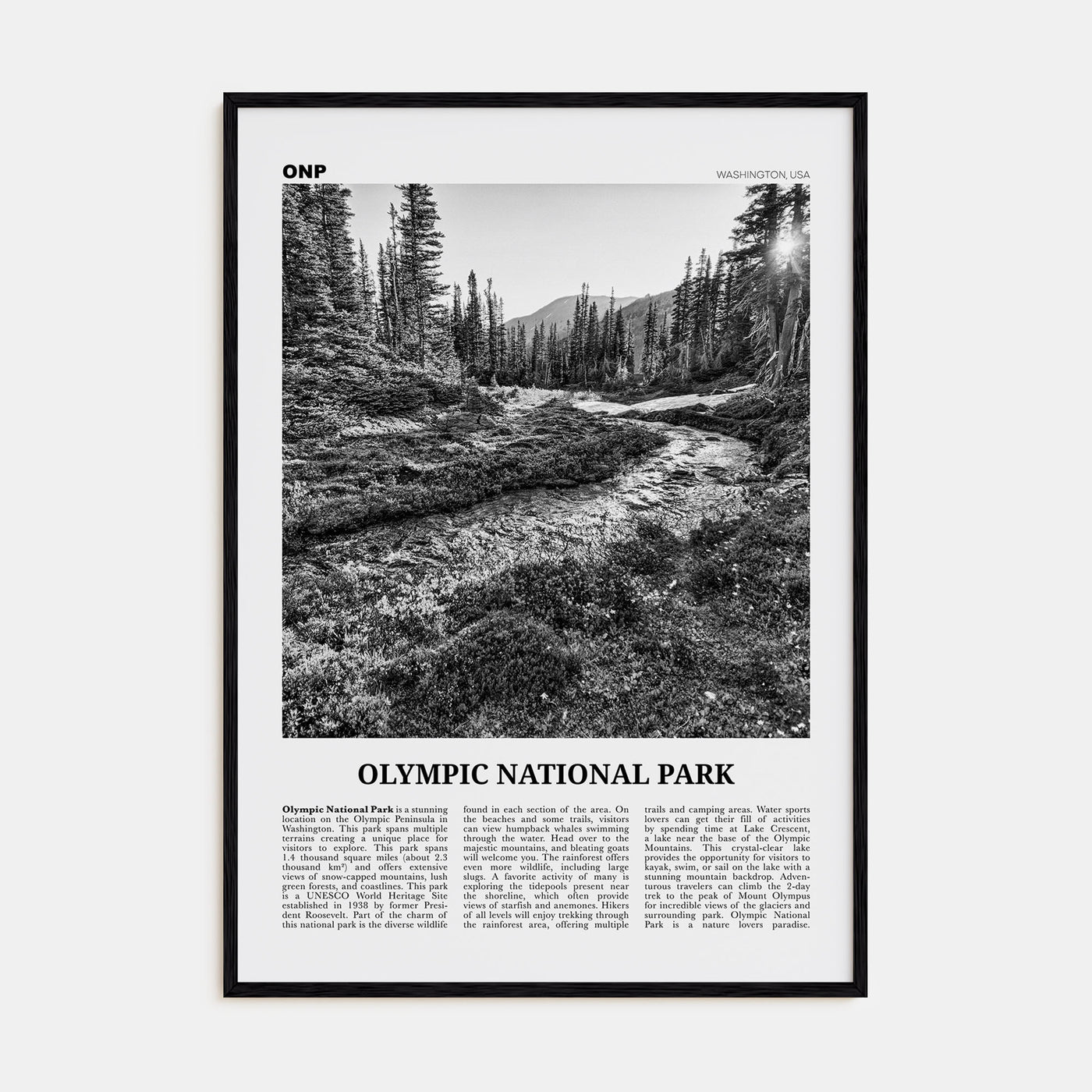 Olympic National Park Travel B&W Poster