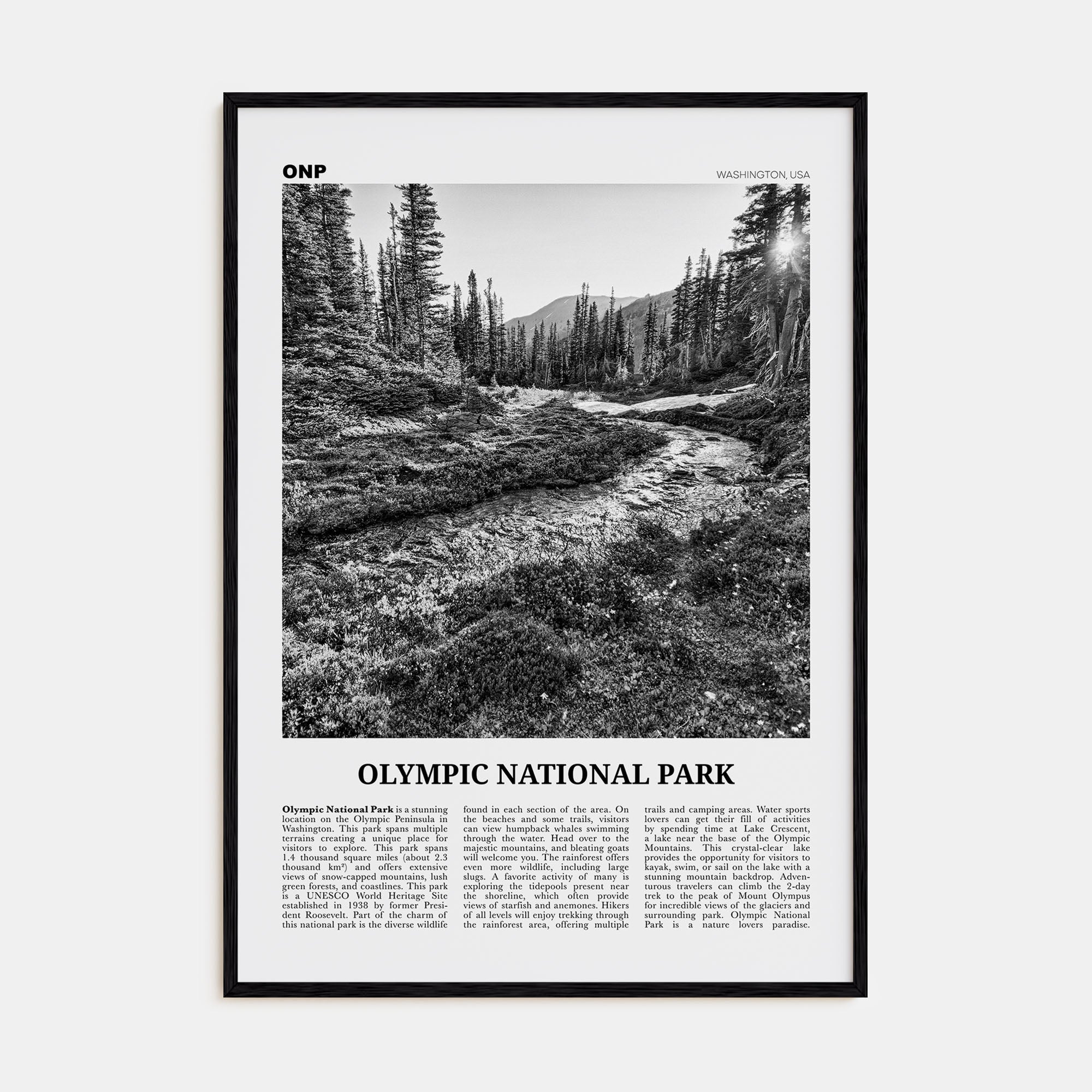 Olympic National Park Travel B&W Poster