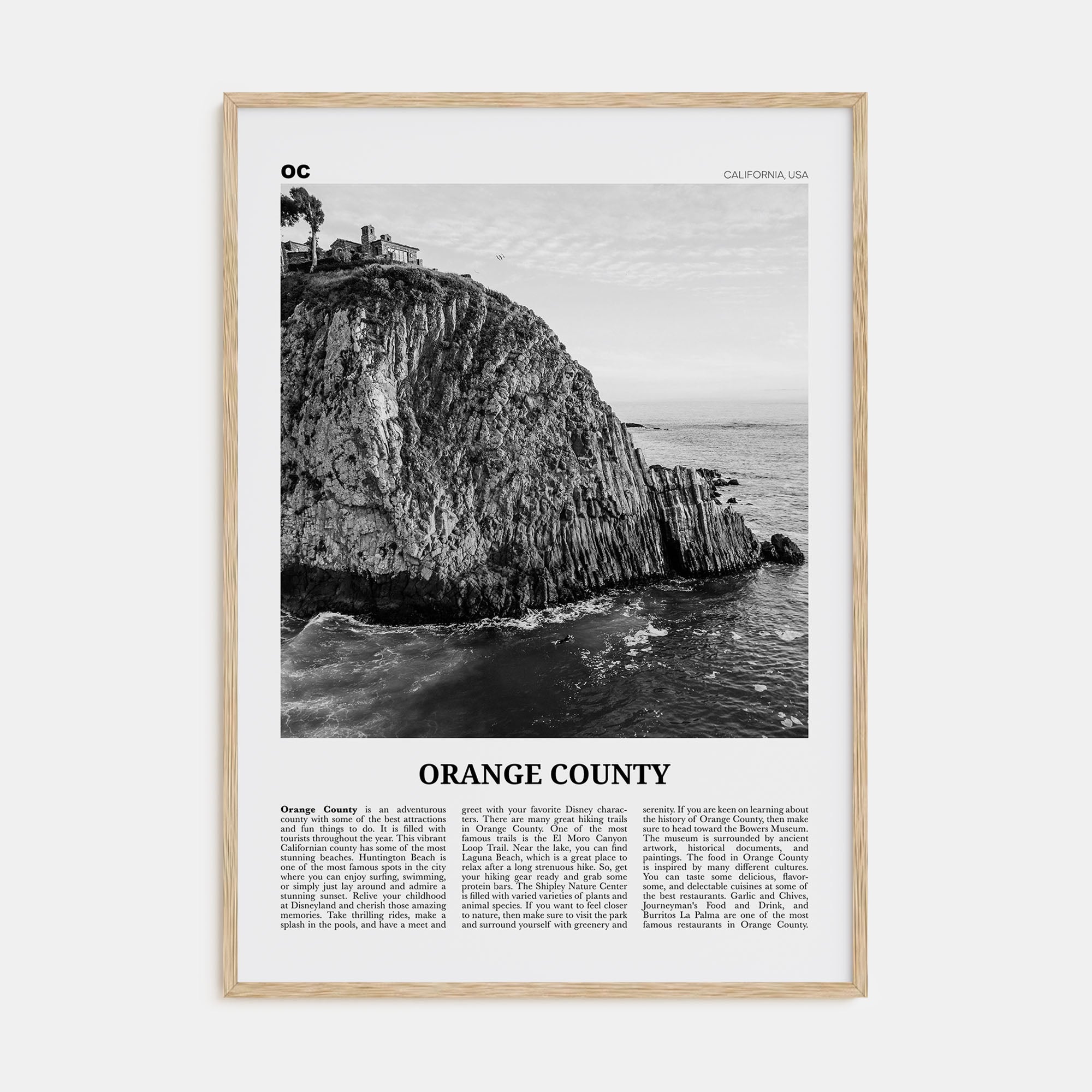 Orange County Travel B&W No 2 Poster