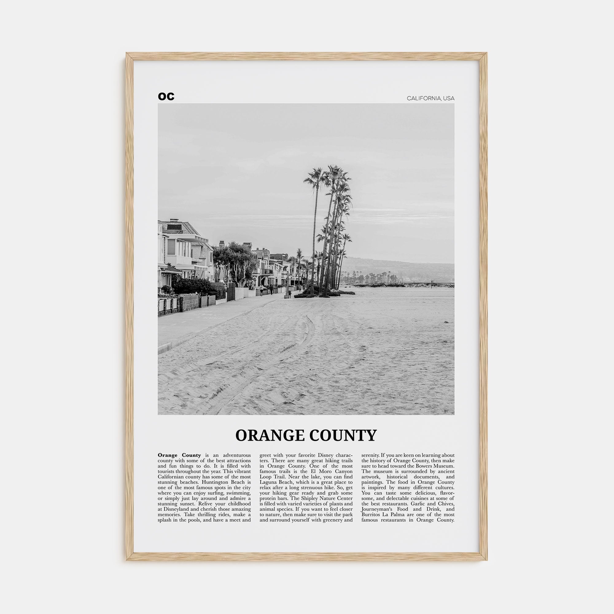 Orange County Travel B&W No 4 Poster
