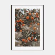 Orange Tree Photo Color No 2 Poster