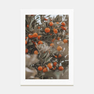Orange Tree Photo Color No 2 Poster