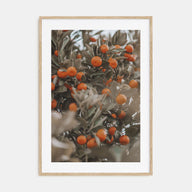 Orange Tree Photo Color No 2 Poster