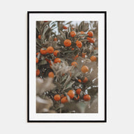 Orange Tree Photo Color No 2 Poster