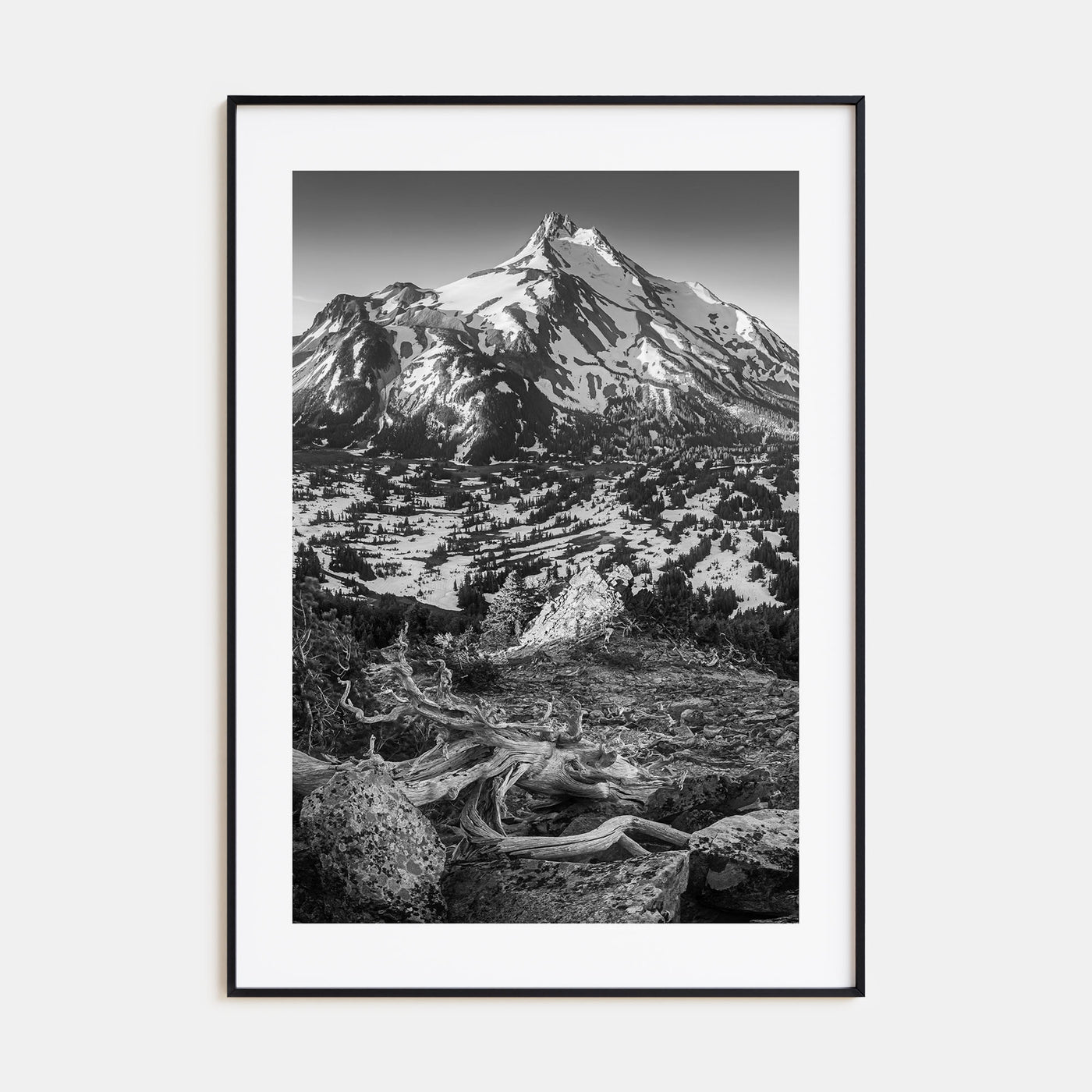 Oregon Photo B&W No 1 Poster