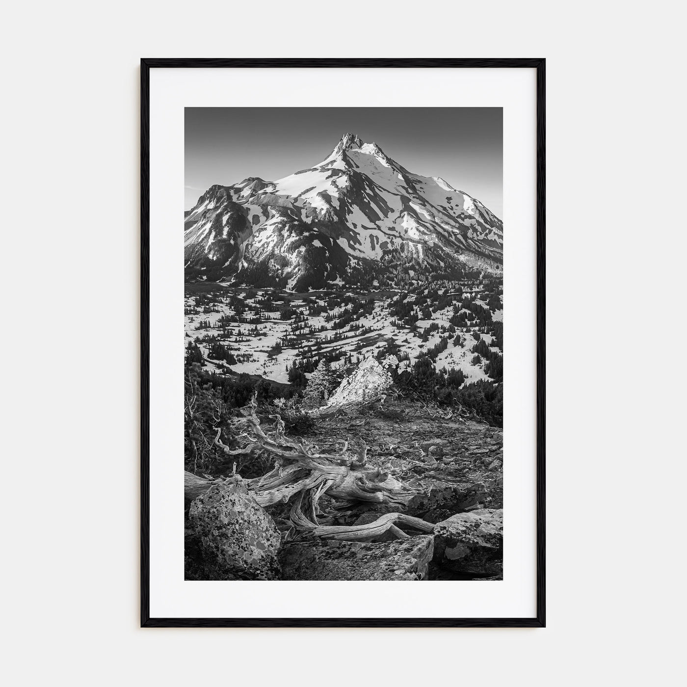 Oregon Photo B&W No 1 Poster