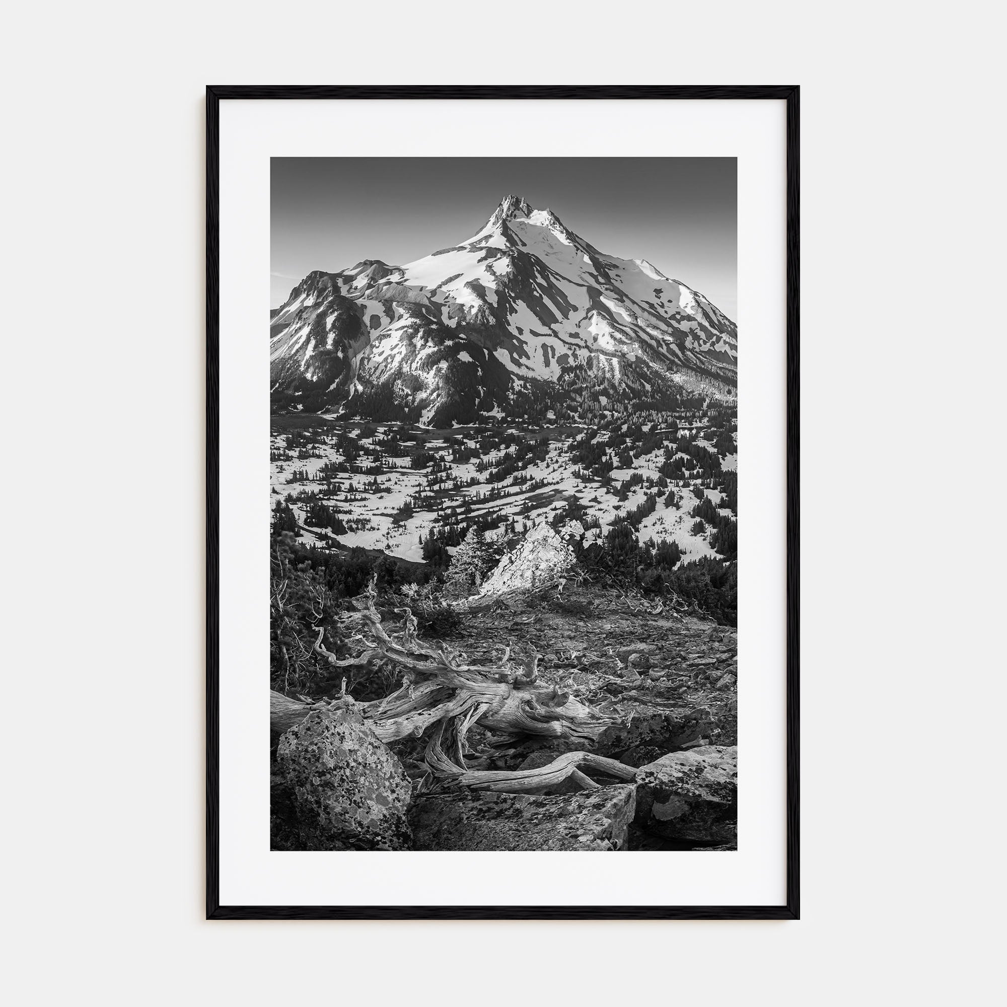 Oregon Photo B&W No 1 Poster