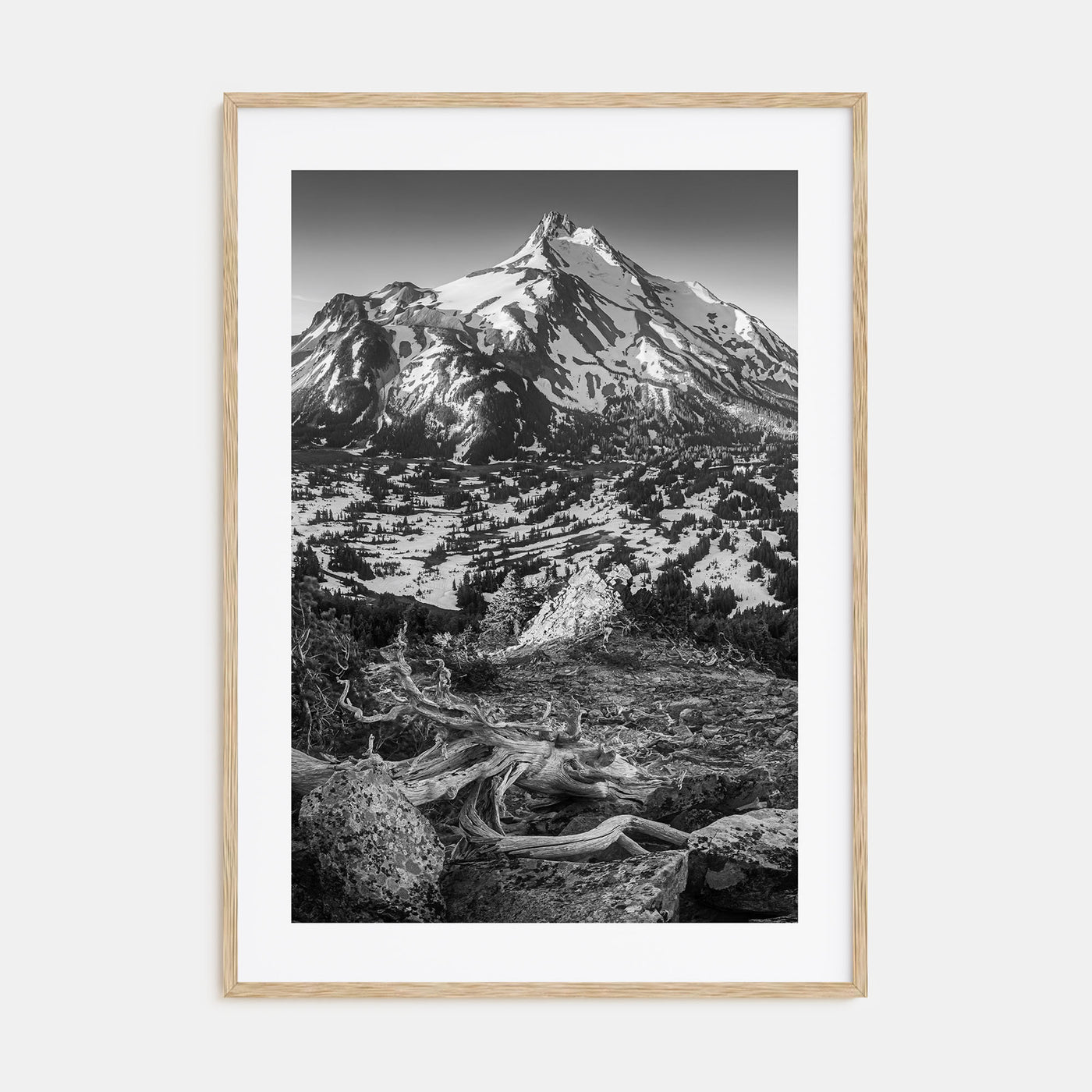 Oregon Photo B&W No 1 Poster