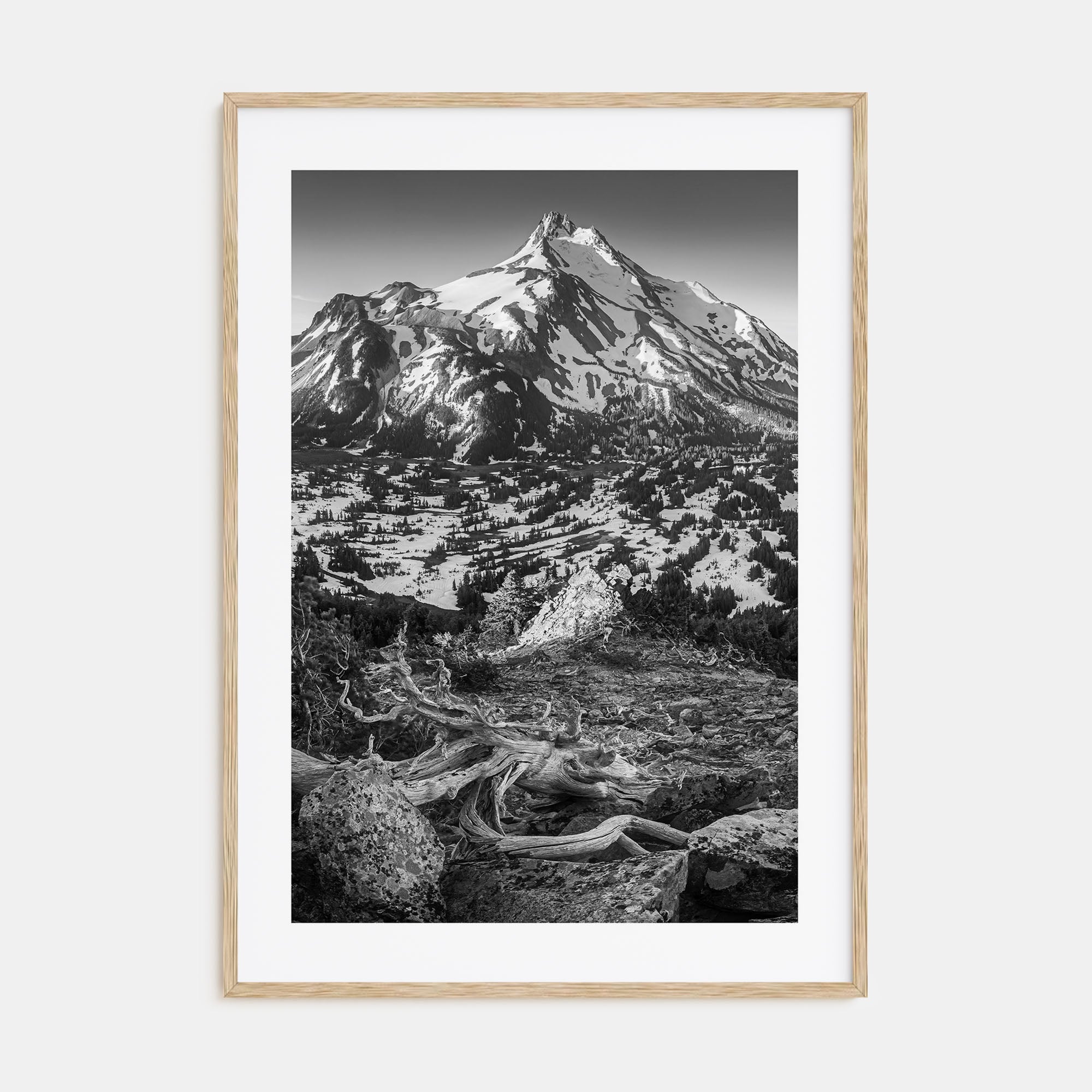 Oregon Photo B&W No 1 Poster