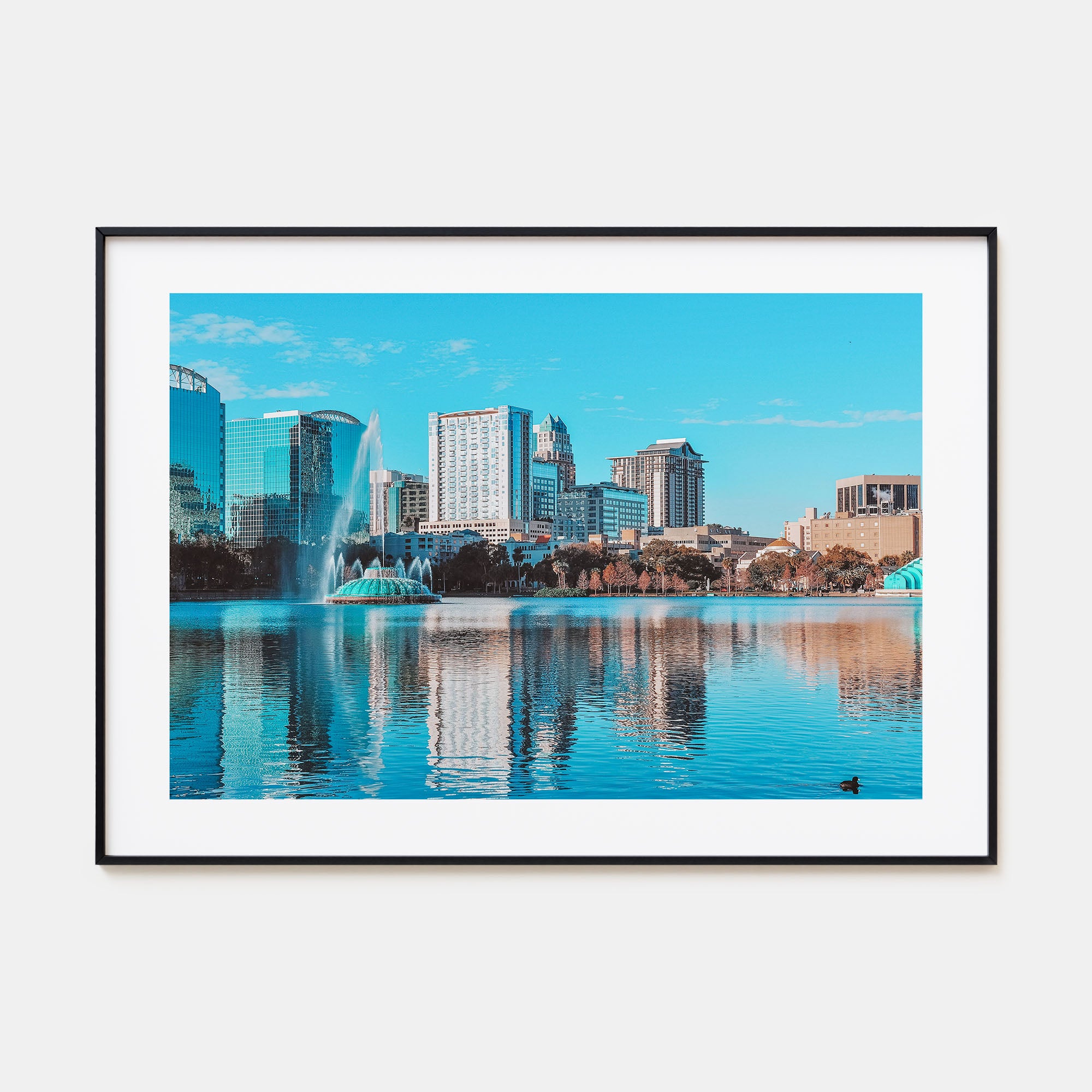 Orlando Landscape Color Poster