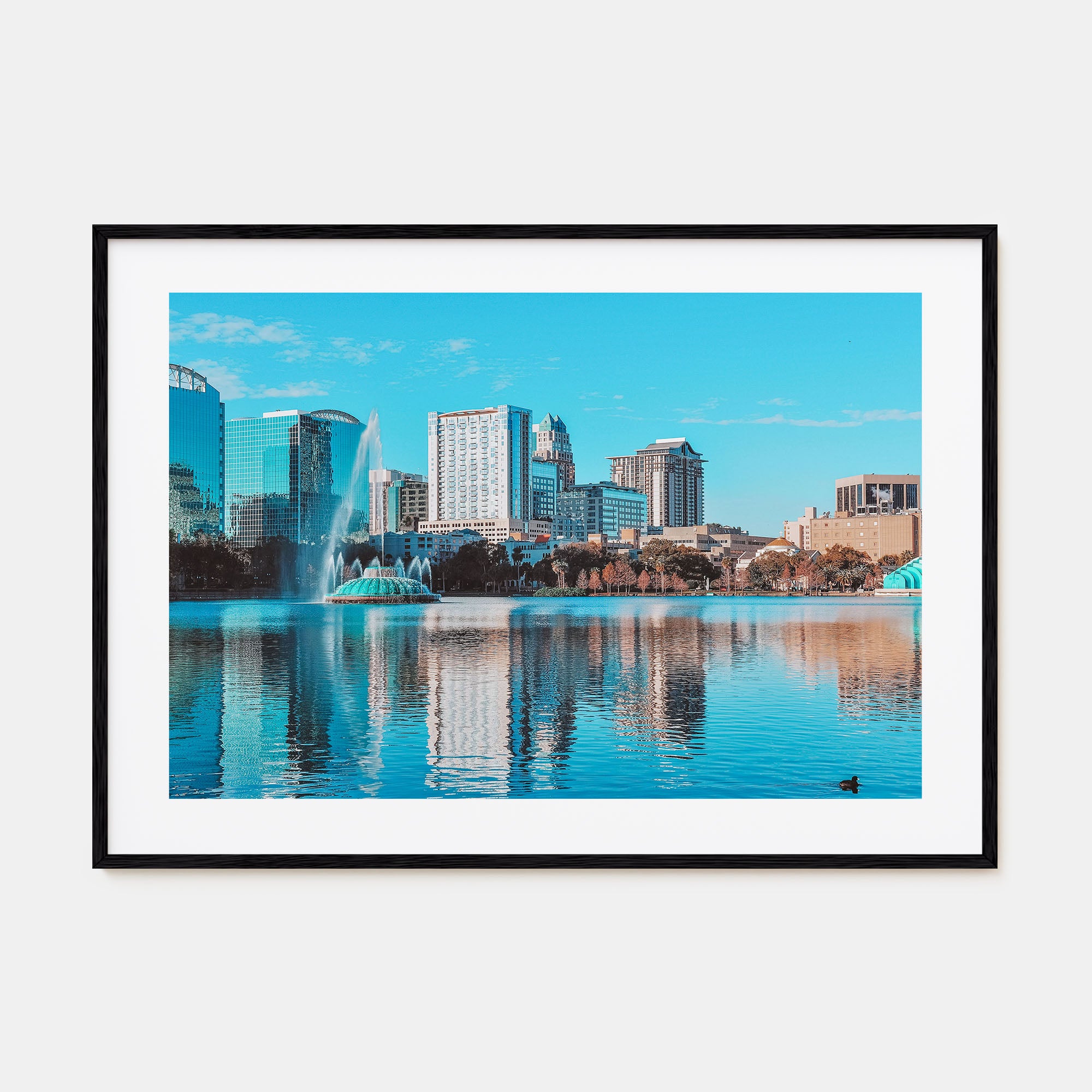 Orlando Landscape Color Poster