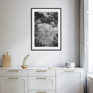 Orlando Photo B&W No 2 Poster