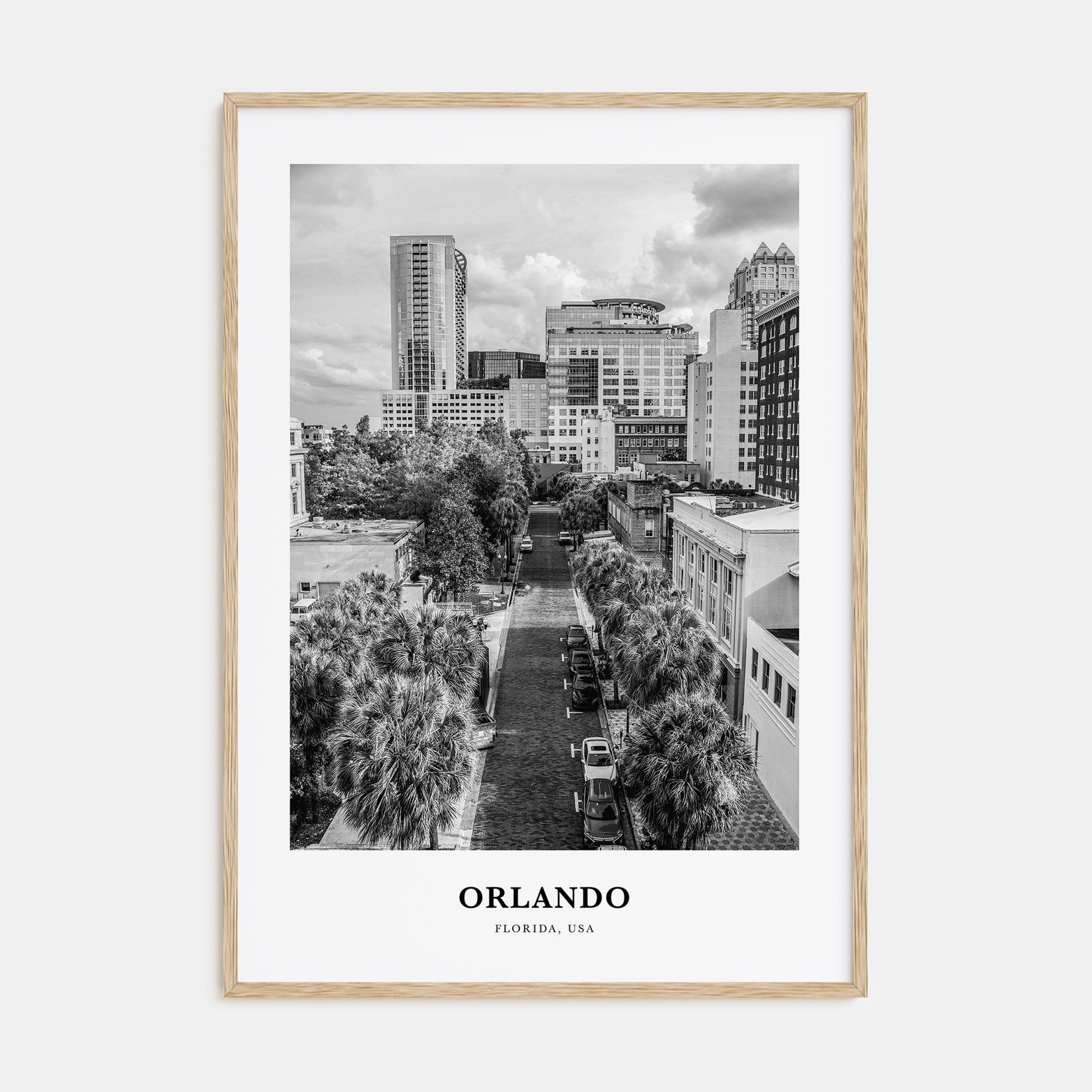 Orlando Portrait B&W No 1 Poster