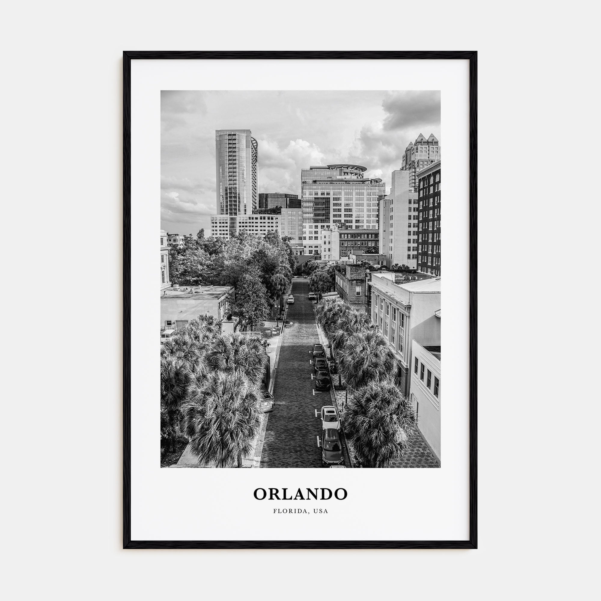Orlando Portrait B&W No 1 Poster