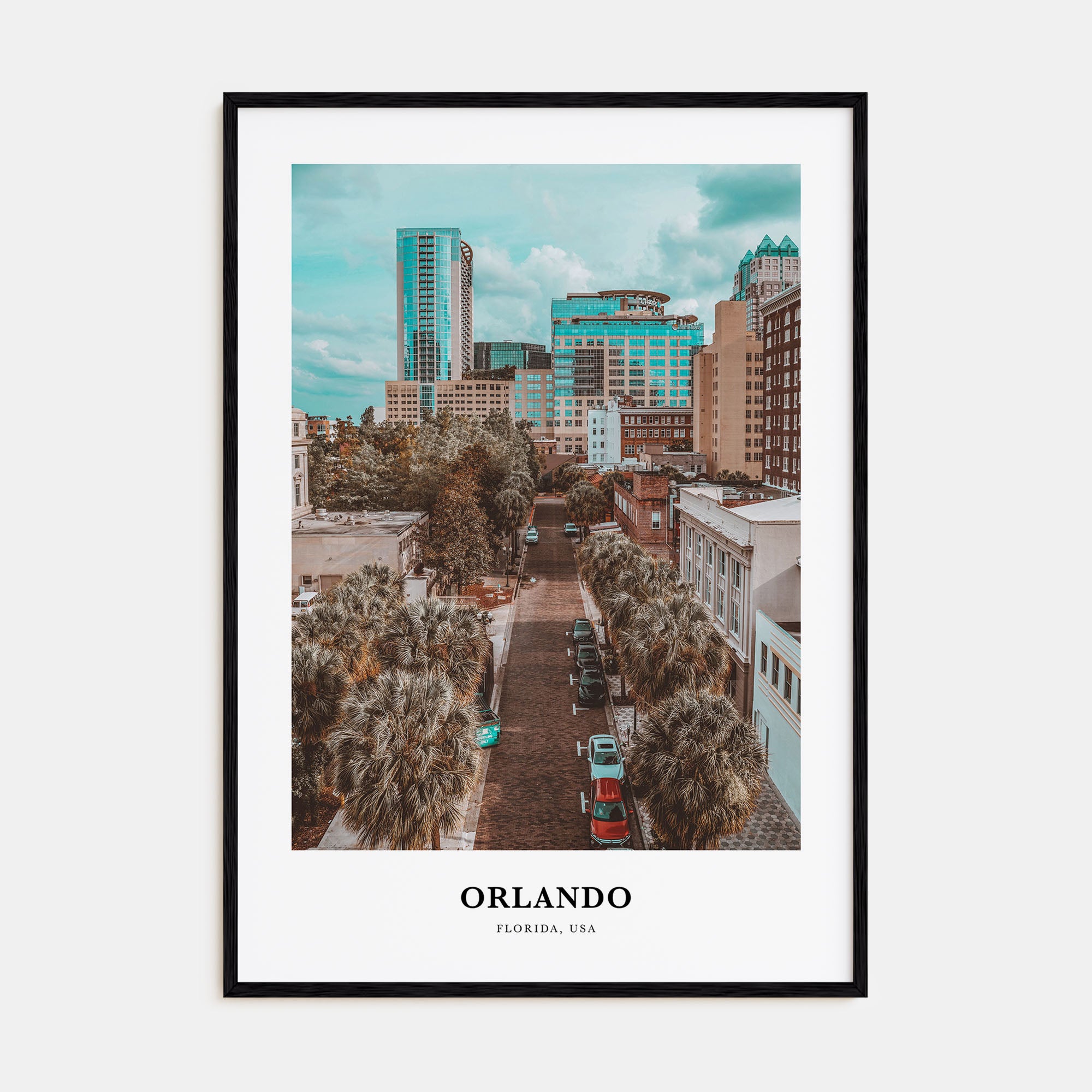 Orlando Portrait Color No 1 Poster