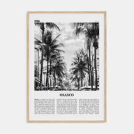 Osasco Travel B&W Poster