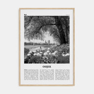Osijek Travel B&W Poster