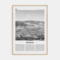 Osoyoos Travel B&W Poster