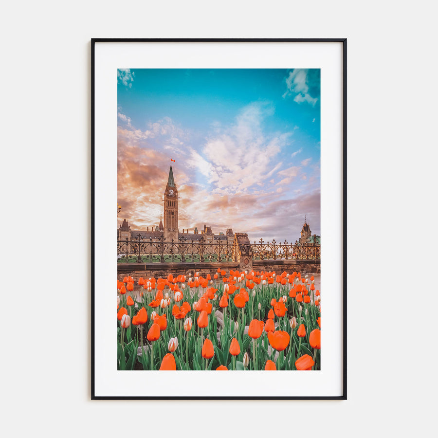 Ottawa Photo Color No 2 Poster