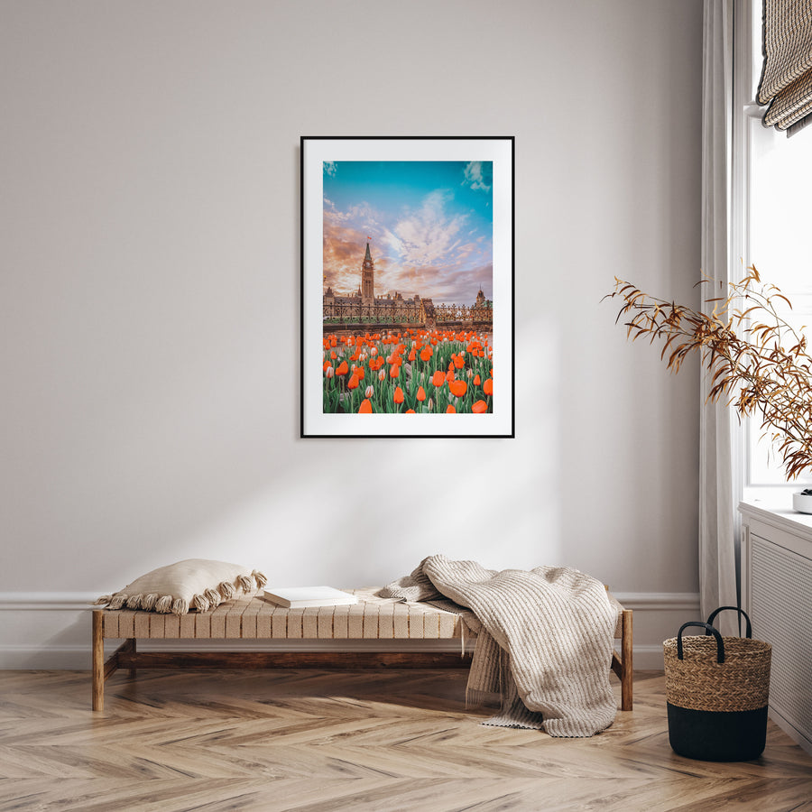 Ottawa Photo Color No 2 Poster