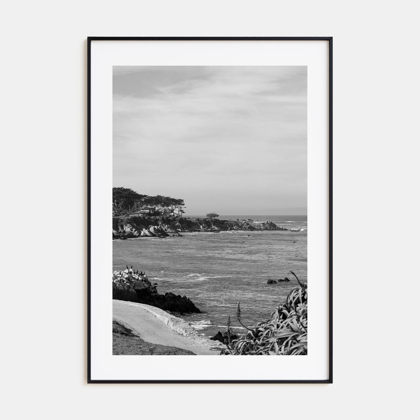 Pacific Grove Photo B&W Poster