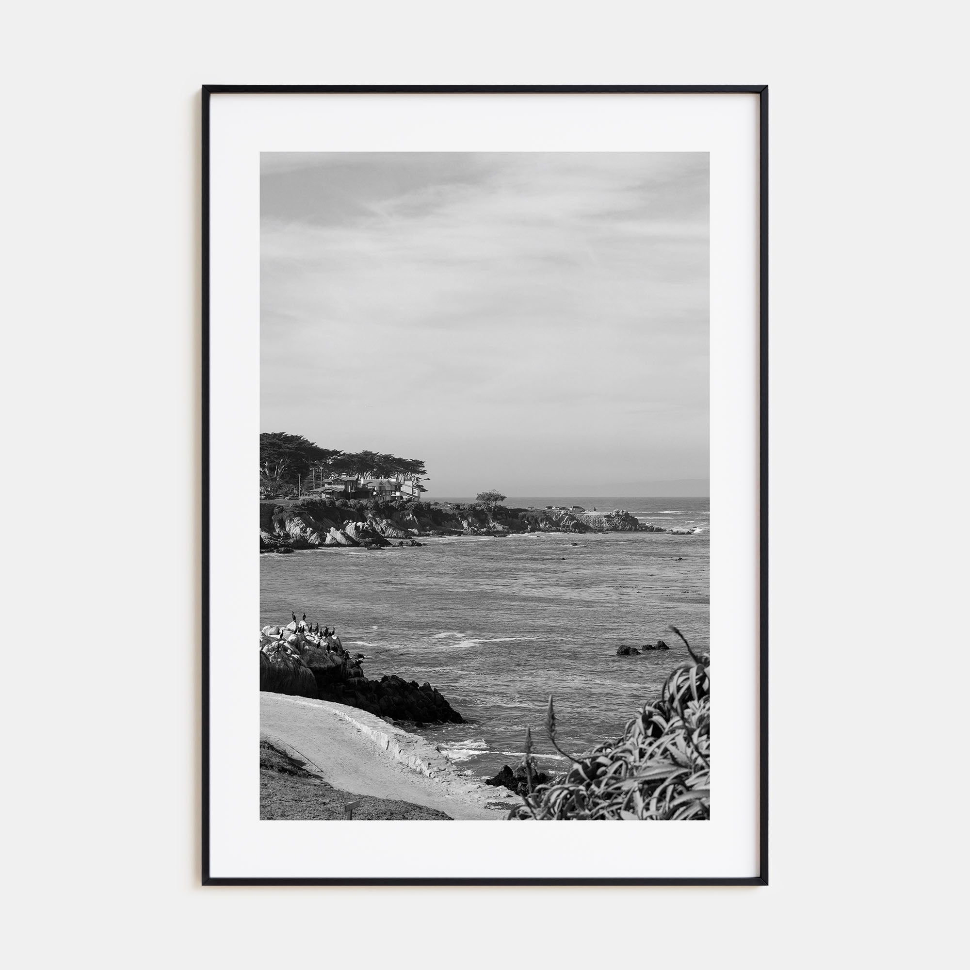 Pacific Grove Photo B&W Poster