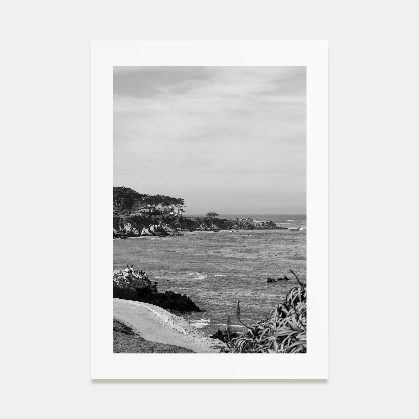 Pacific Grove Photo B&W Poster