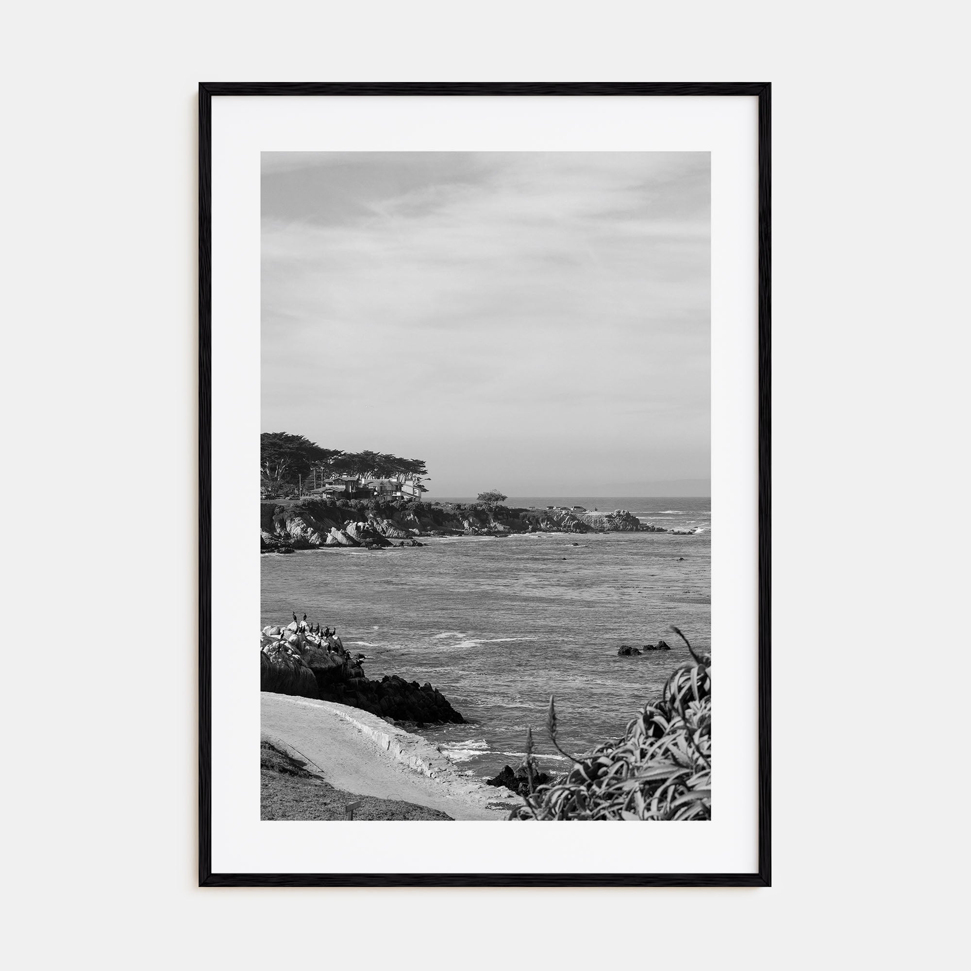 Pacific Grove Photo B&W Poster