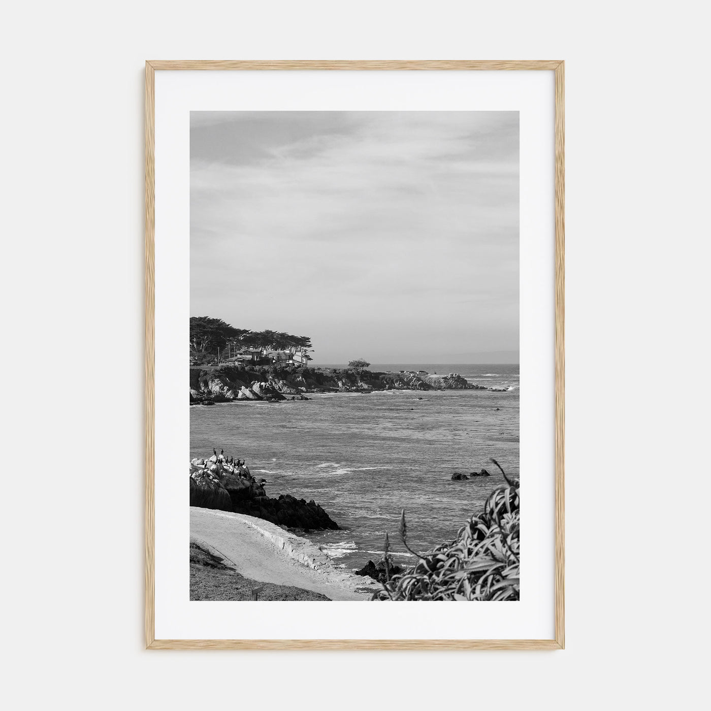 Pacific Grove Photo B&W Poster