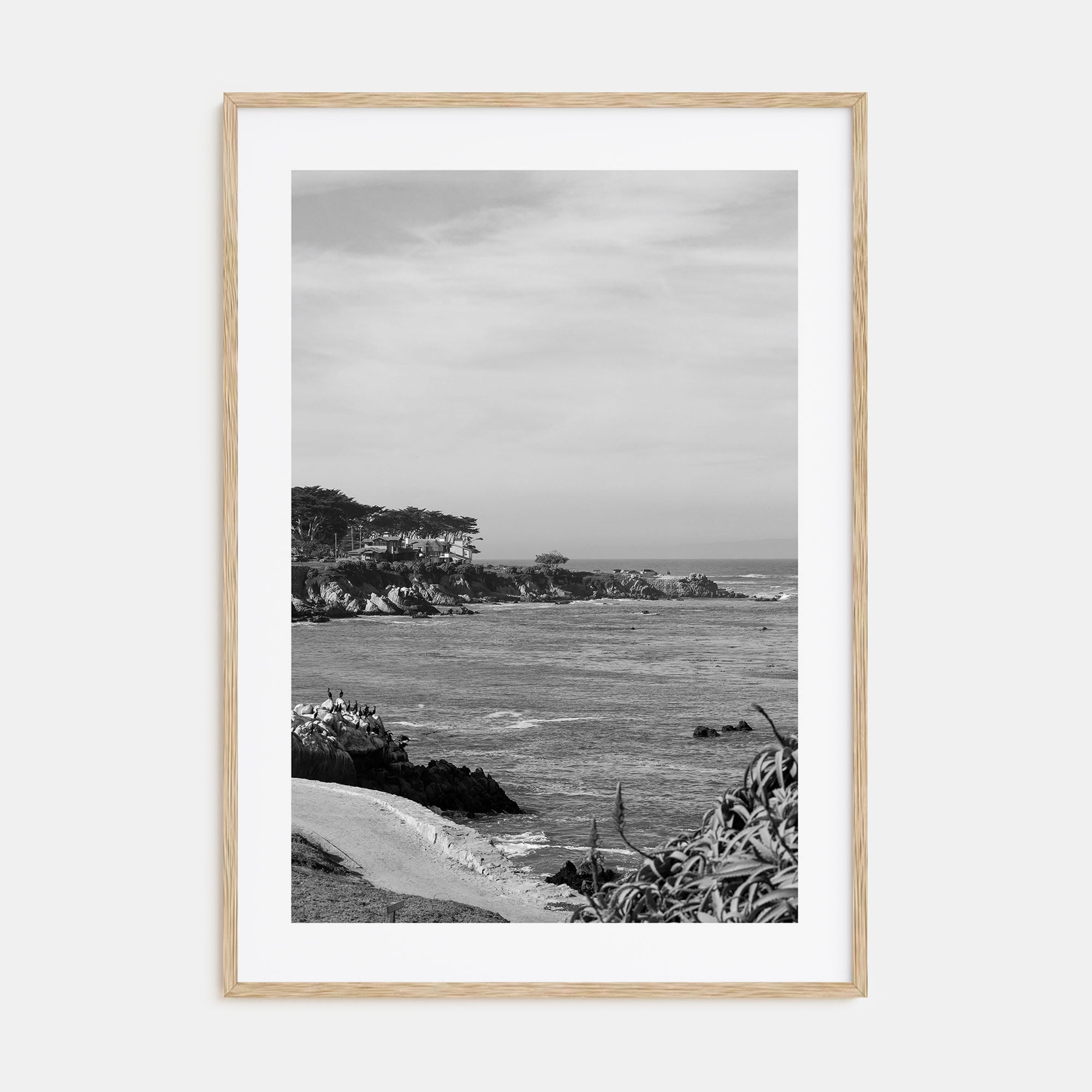 Pacific Grove Photo B&W Poster