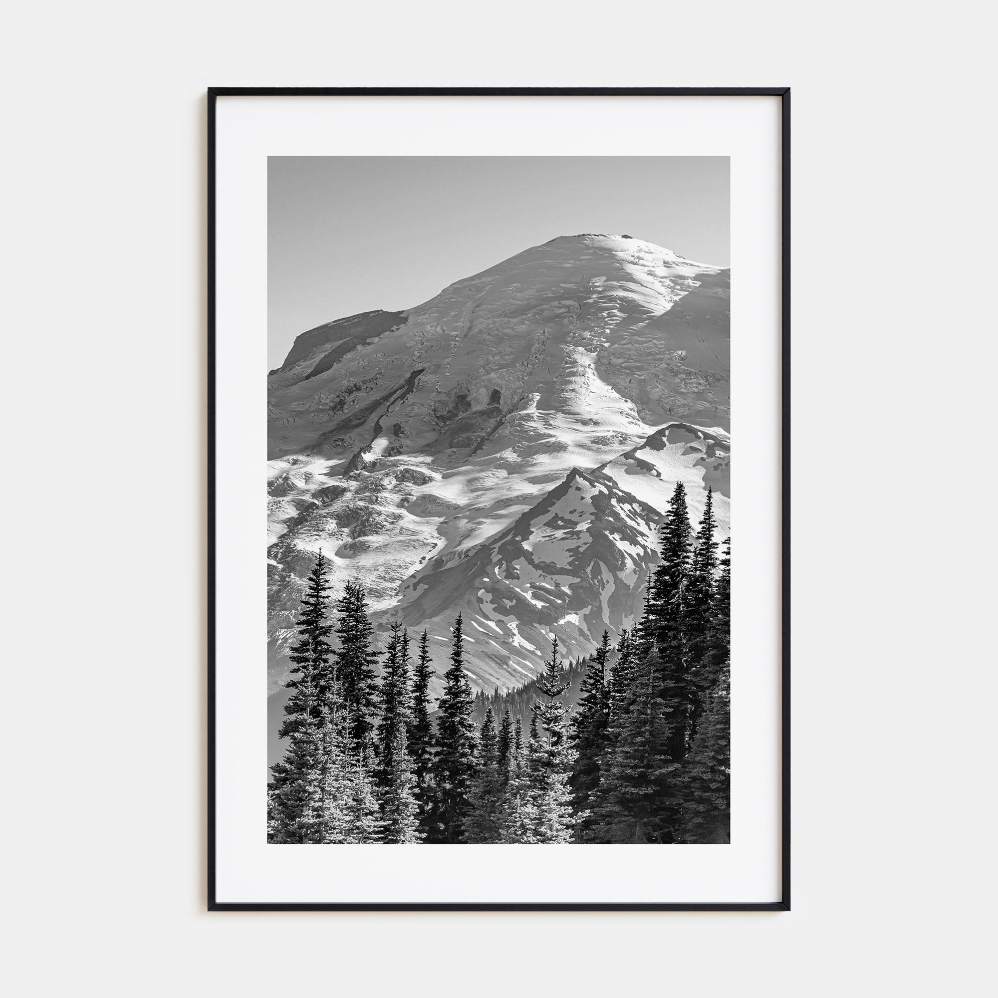 Pacific Northwest Photo B&W Poster
