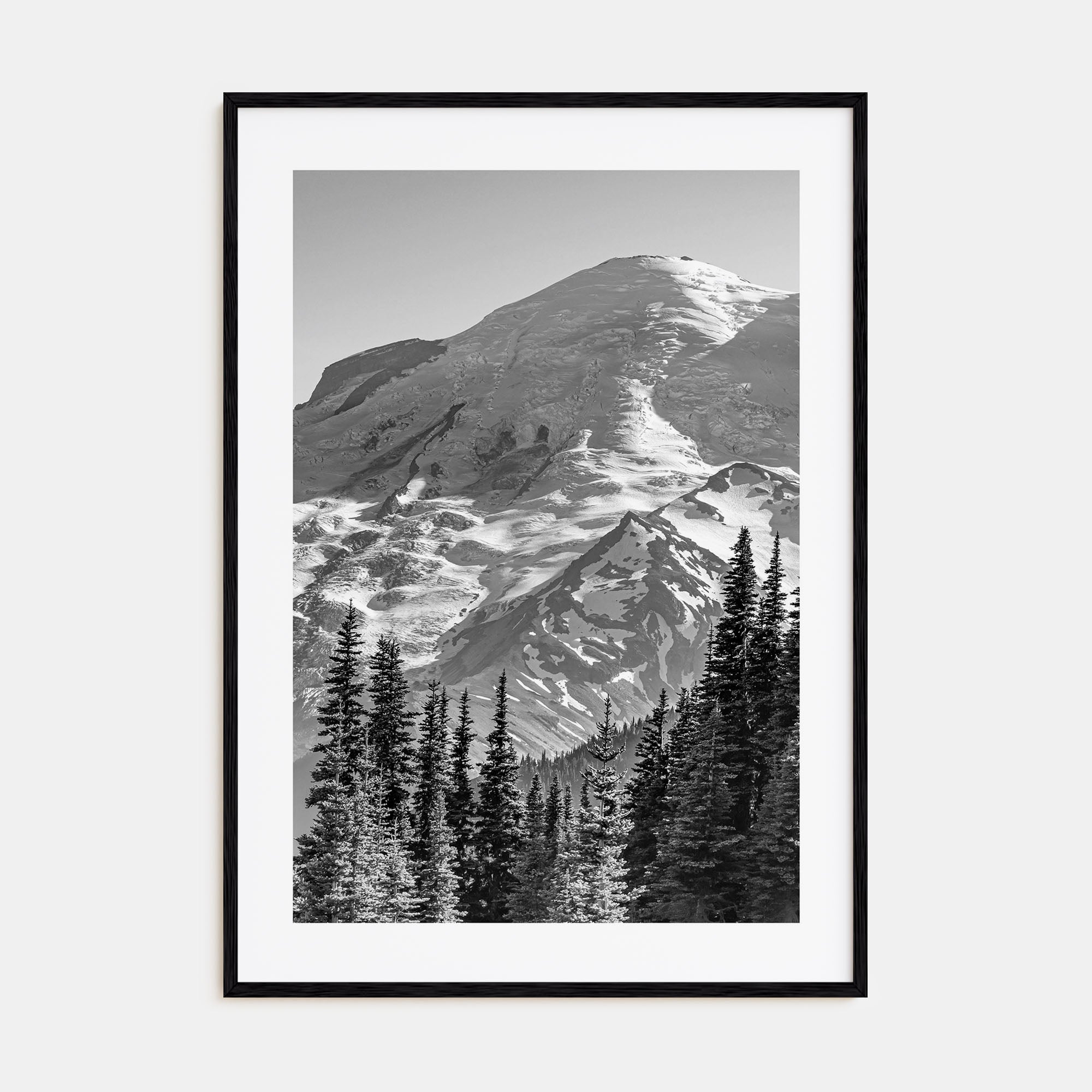 Pacific Northwest Photo B&W Poster