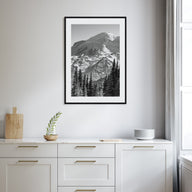 Pacific Northwest Photo B&W Poster