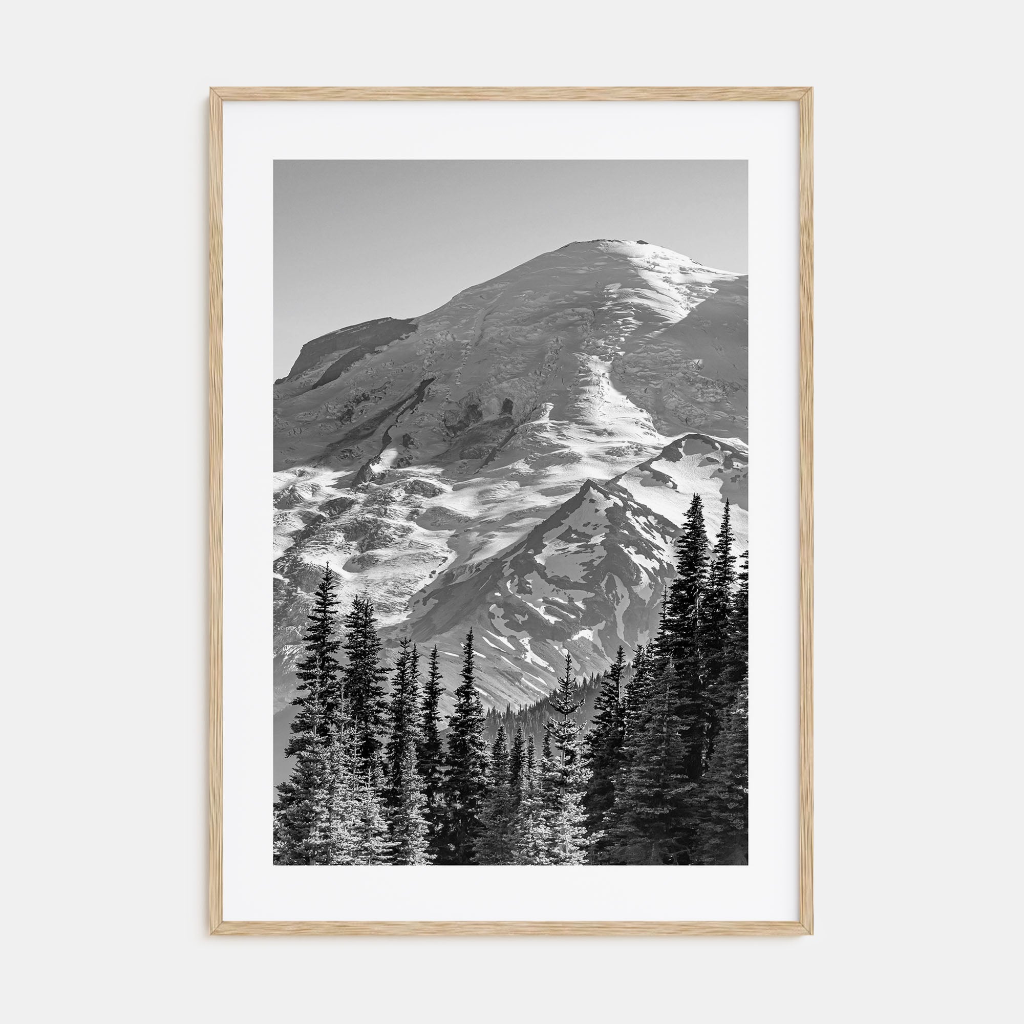 Pacific Northwest Photo B&W Poster