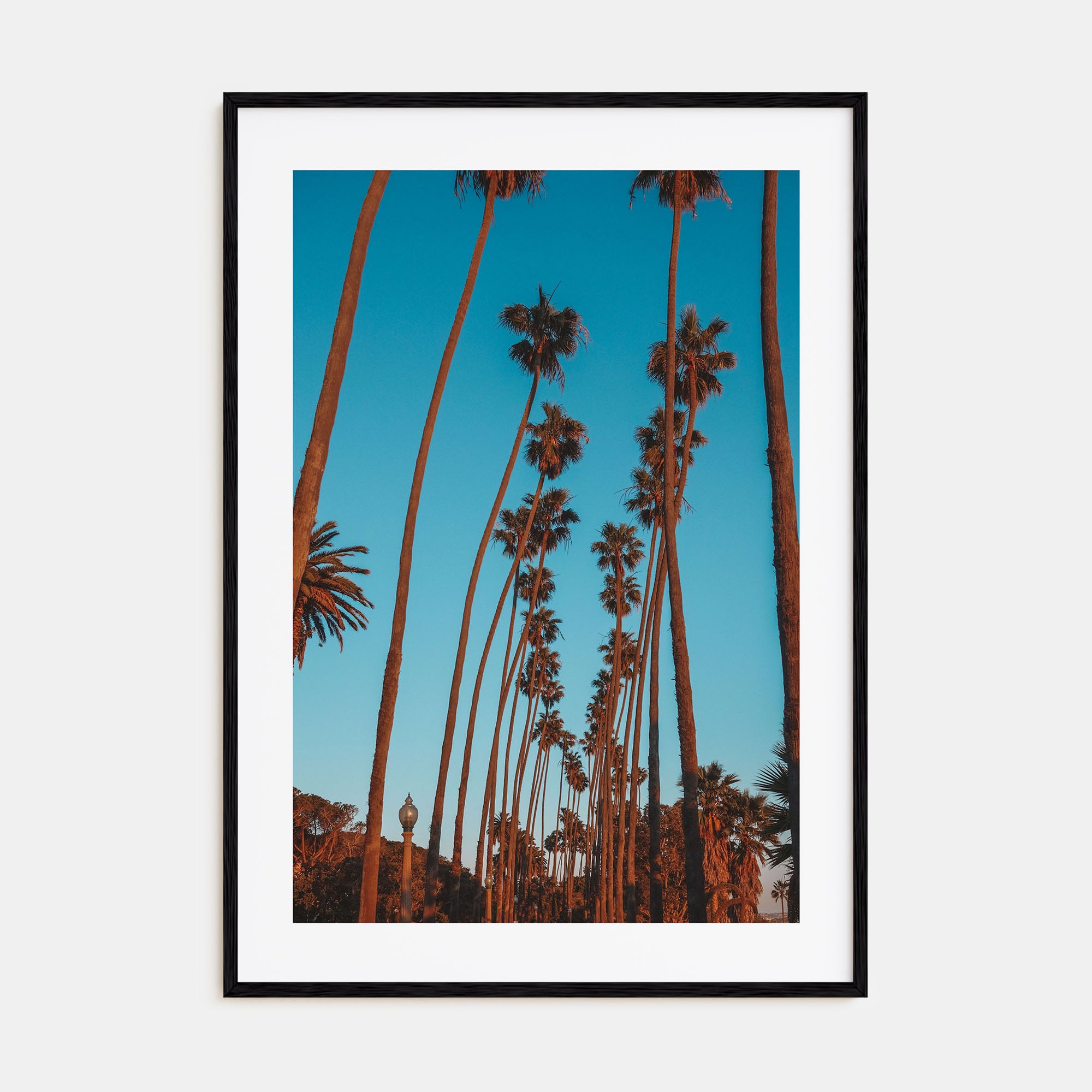 Pacific Palisades Photo Color No 2 Poster
