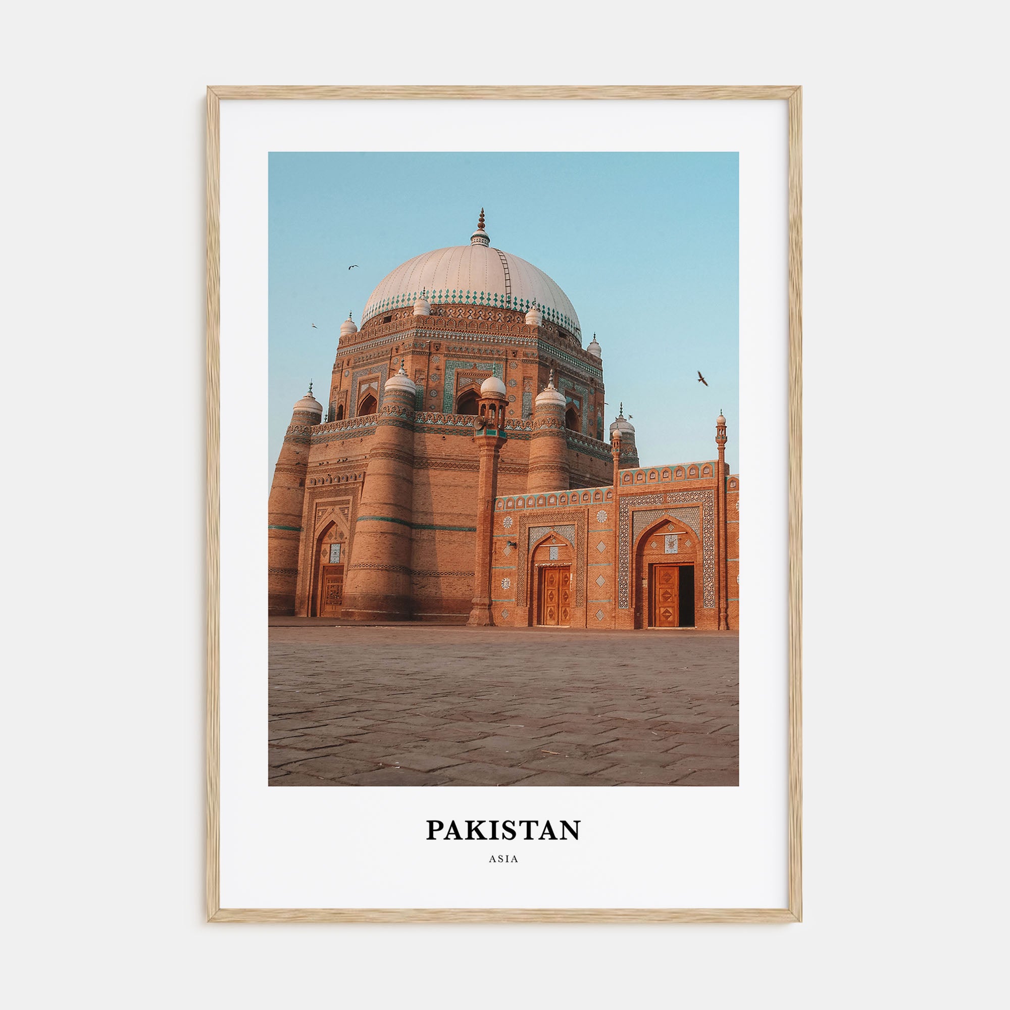 Pakistan Portrait Color Poster