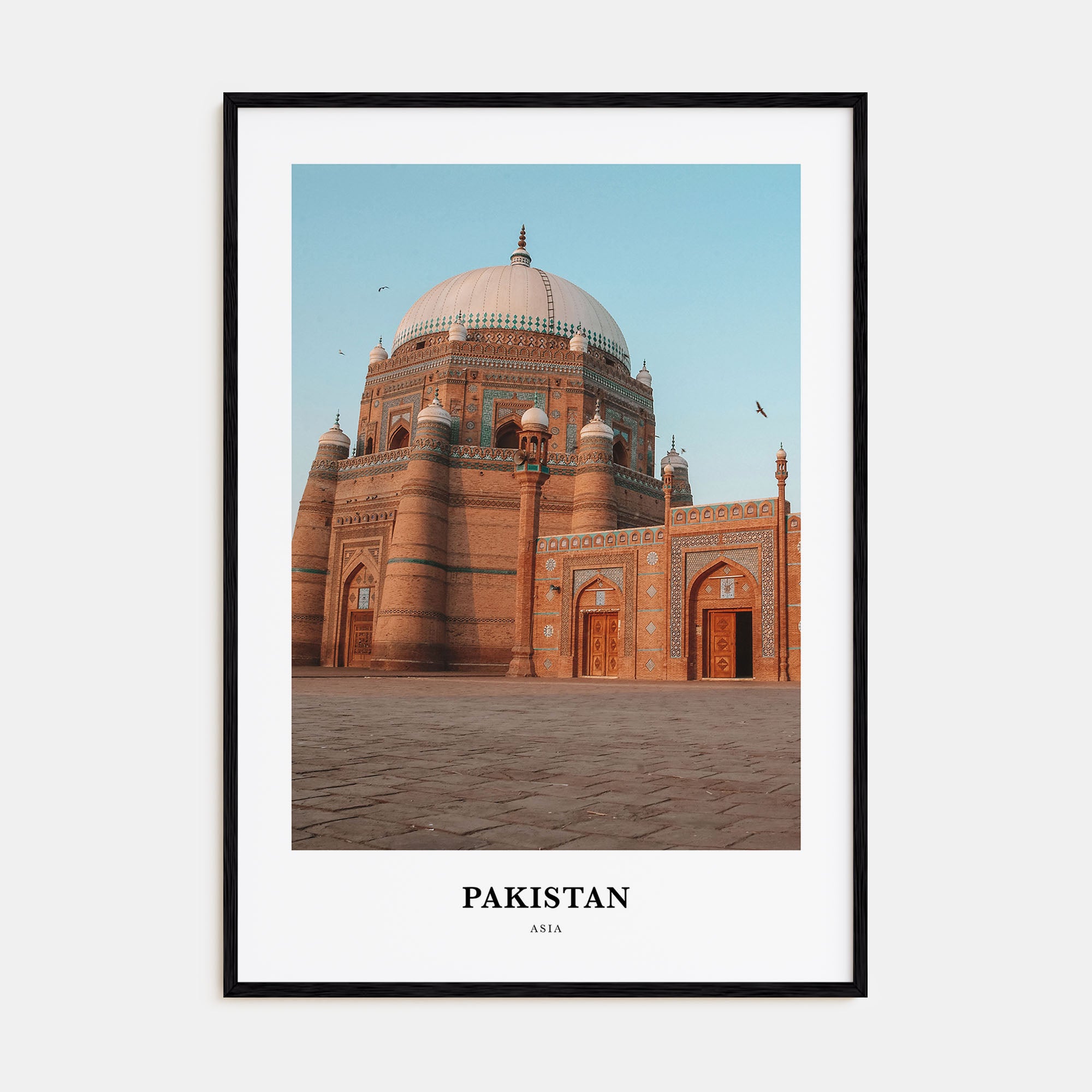 Pakistan Portrait Color Poster