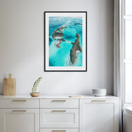 Palau, Oceania Photo Color Poster